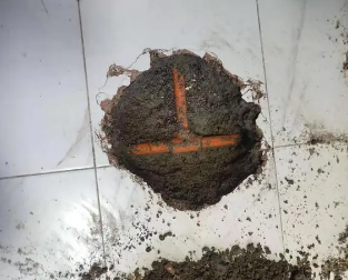 台安查漏水多少钱
